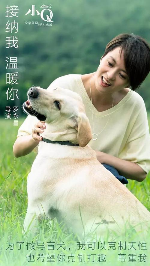 邮政银行存款证明书样子/图片需要什么资料